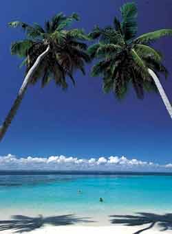 Отдых на Мальдивах, цены отдых новый год, туроператоры тез тур и корал тервел , фото отель
